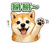 864900240
