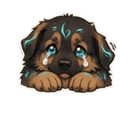 864900399