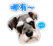 864901091