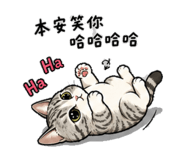 864901337