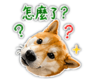 864901551