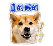864901552