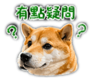 864901564