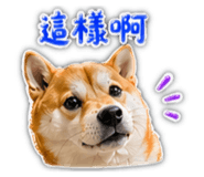 864901568