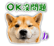 864901569