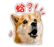 864901570