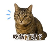 864907637