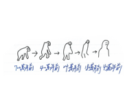 864912432