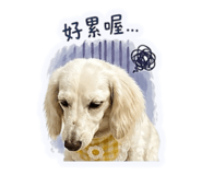 864912546