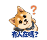 864912671