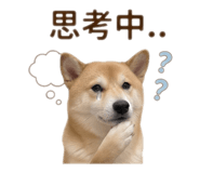 864913189