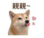 864913190