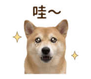 864913192
