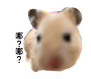 864913882