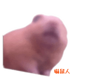 864913890