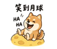 864914144