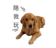 864914602