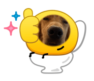 864914616