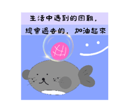 864914992