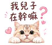 864915173