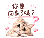 864915176