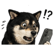 864915460