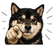 864915474