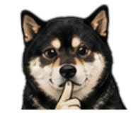 864915493