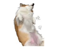 864915898