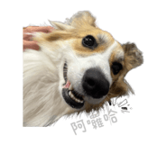 864915899