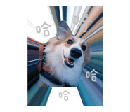 864915916
