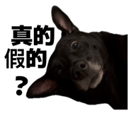 864916030