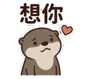 864920847