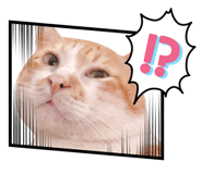 864927463