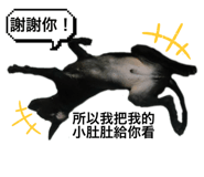 864927636