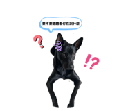 864927650