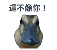 864928335