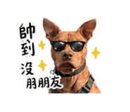 864928667