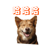 864930996