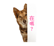 864930997