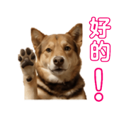 864931001