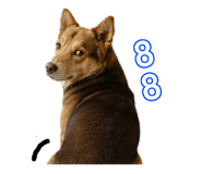864931003
