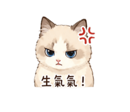 864932409