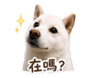 864939322