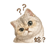 864940740