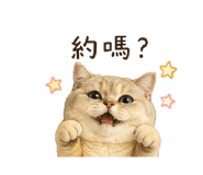 864940742