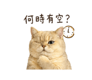 864940748