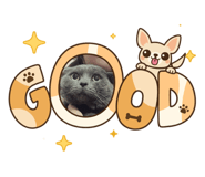 864941404