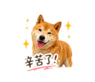 864942779
