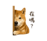 864942799